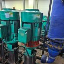 수원-1809 이미지