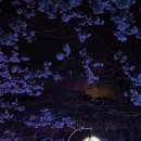 함평볼링장