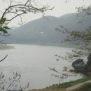 마전초(마전리) Daum카페