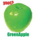 와이낫(YNOT) 이미지