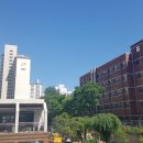 고려인성태권도 이미지