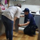 그린라인 이미지