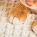 이지클린 이미지