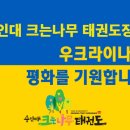 큰나무태권도장 이미지