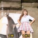 올린