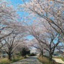 사초경로당 이미지