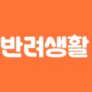 개멍물멍 이미지