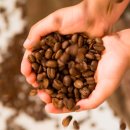 (주)프로스터 이미지