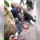 탈레반, 女인권 존중한다더니…부르카 미착용 여성 사살 이미지