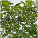 전라농장 이미지