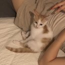 (주)제이엘씨엔티 이미지