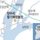 김선규농장 이미지