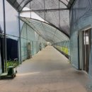 지선농장 이미지