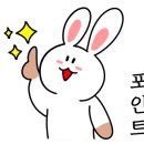 메이팜스대전
