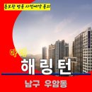 우암동 효성 해링턴 마레 부산 북항 아파트 특별공급 타입별 분양 가격 문의 대표번호 모델하우스 방문 사전예약 안내 이미지