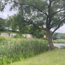 명포2리마을회관 이미지