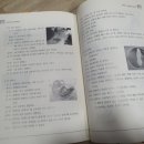 새화랑유치원 이미지