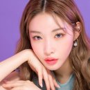 렌즈타운 이미지