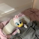 주식회사 굿프렌즈 | 스트레칭 마사지베개 기능성베개 사용후기