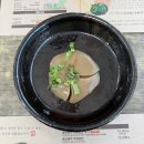 영신숲 외 가로수길 | 내돈내산 | 커플 / 가족 | 광주 &amp;담양 1박 2일 여행 코스 추천 (나만 알고싶은 맛집들 가득 포함)