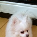 강서구-87 이미지