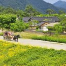 예천상설시장 | 🏞 경북 예천 삼강문화단지 여행 가이드 | 세 강이 만나는 복합 문화 힐링 스팟 🌊