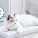 유아이홈 이미지