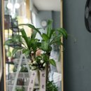 수지힘찬한의원 이미지