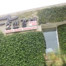 풀잎궁전 이미지