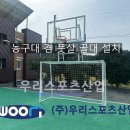 고성초등학교 티스토리