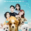 상전 뉴시스