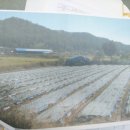 영운농장 이미지