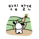 꼬치홀릭연산