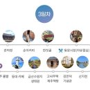 제주 투어 아울렛