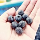 자연의집 이미지