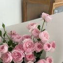 스튜디오로즈데이 네이버블로그
