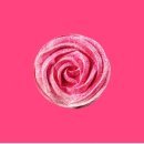 조촌로 | [내돈내산]스타벅스 신메뉴 붉은로즈초콜릿 솔직후기｜발렌타인데이 시즌 음료 추천