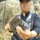 물돌민박 이미지