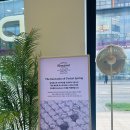 신혼 혼수 시몬스 침대 상담 후기 시몬스 뷰티레스트 100주년