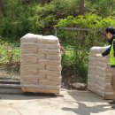 면목동-031 이미지