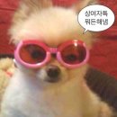 청년돼지 - 포항시 북구 중흥로 128 | 청년돼지