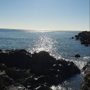 공극 샌드커피 이미지