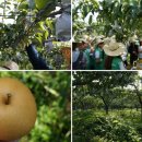 이장배농장 이미지