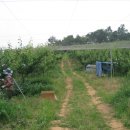 김상기농장 이미지