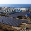 중부태양광발전소 이미지