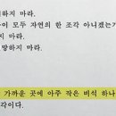 비석 하나; 무색하게;수백억 세금으로 키운 ;노무현 타운. 이미지