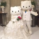 대우 축사 | [W-3] 스튜디오 콜레트 워크인 후기 (계약O)