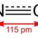 라라올라 이미지