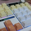 지앤케이 | 독거미 키보드 AULA F108Pro 저소음 바다축 가격, 타건감, 소리, 솔직 사용 후기 (사무실저소음키보드추천)