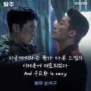 구교스크린
